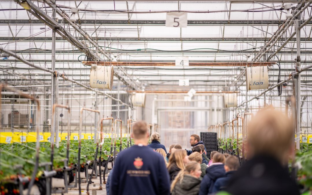 Ook Schwering Aardbeien laat zien hoe gaaf techniek en technologie is!
